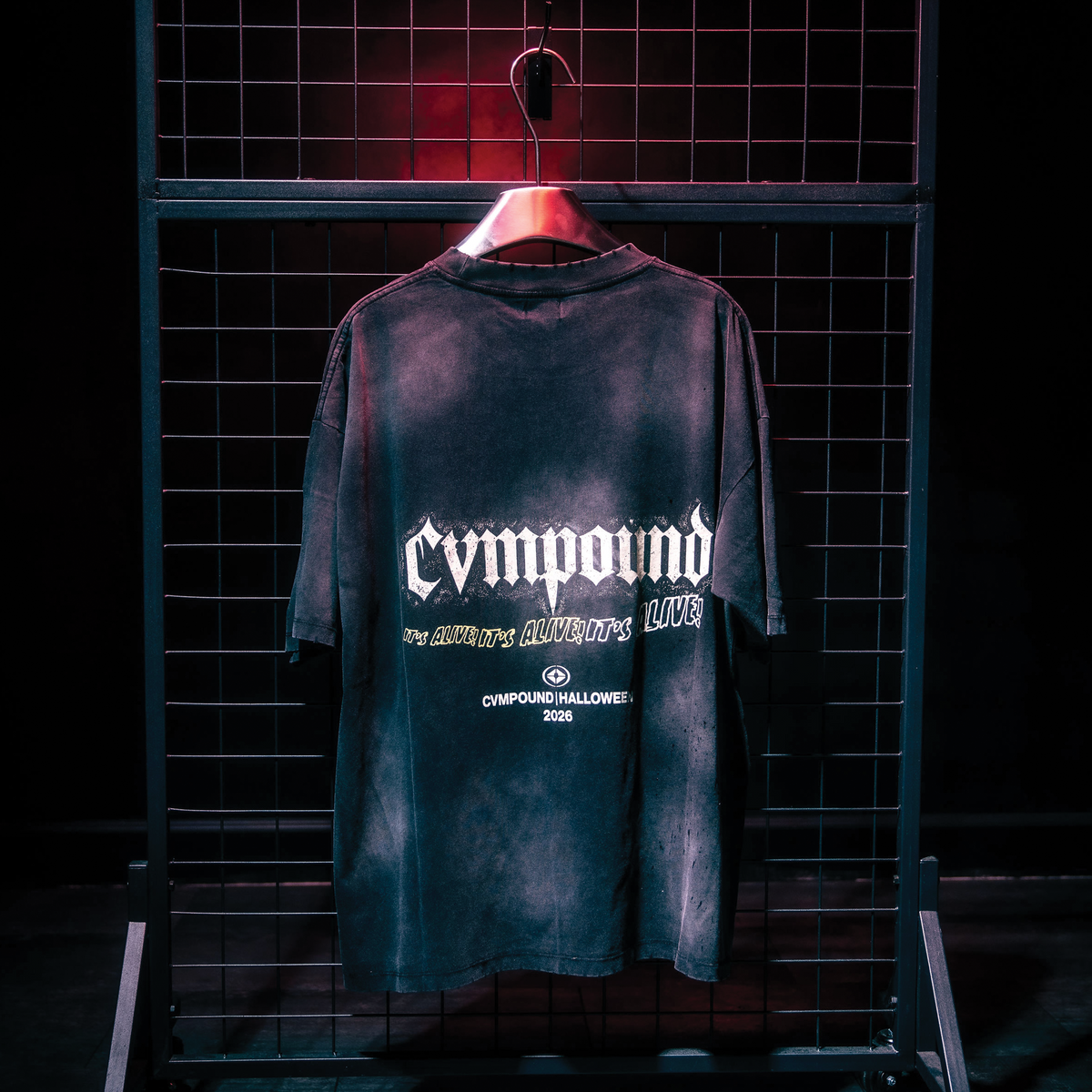 Halloween 2026: Vintage Frank T-shirt