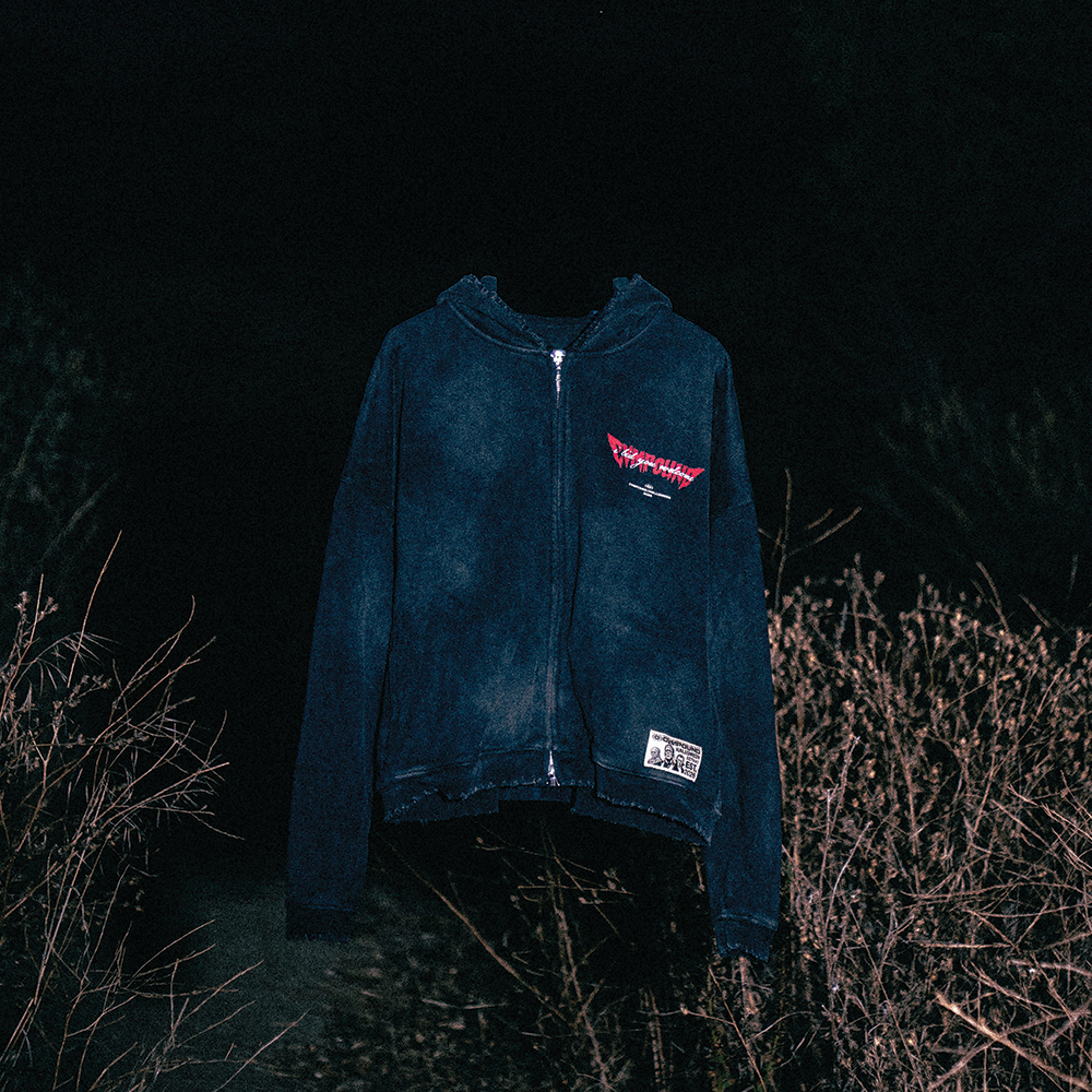 Halloween 2026: Dracula Box Crop Zip Hoodie