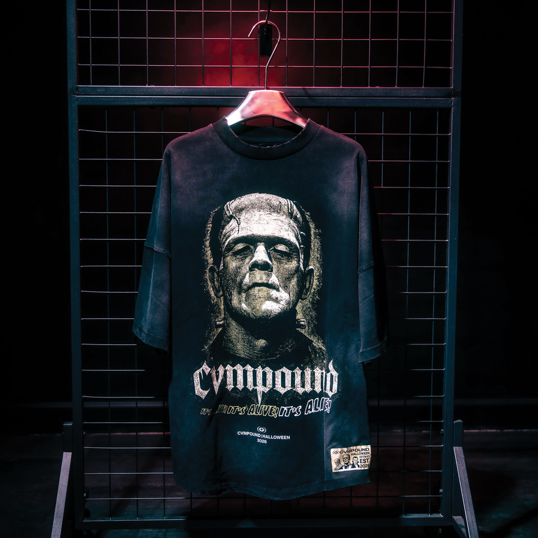 Halloween 2026: Frank Boxy Scoop T-shirt