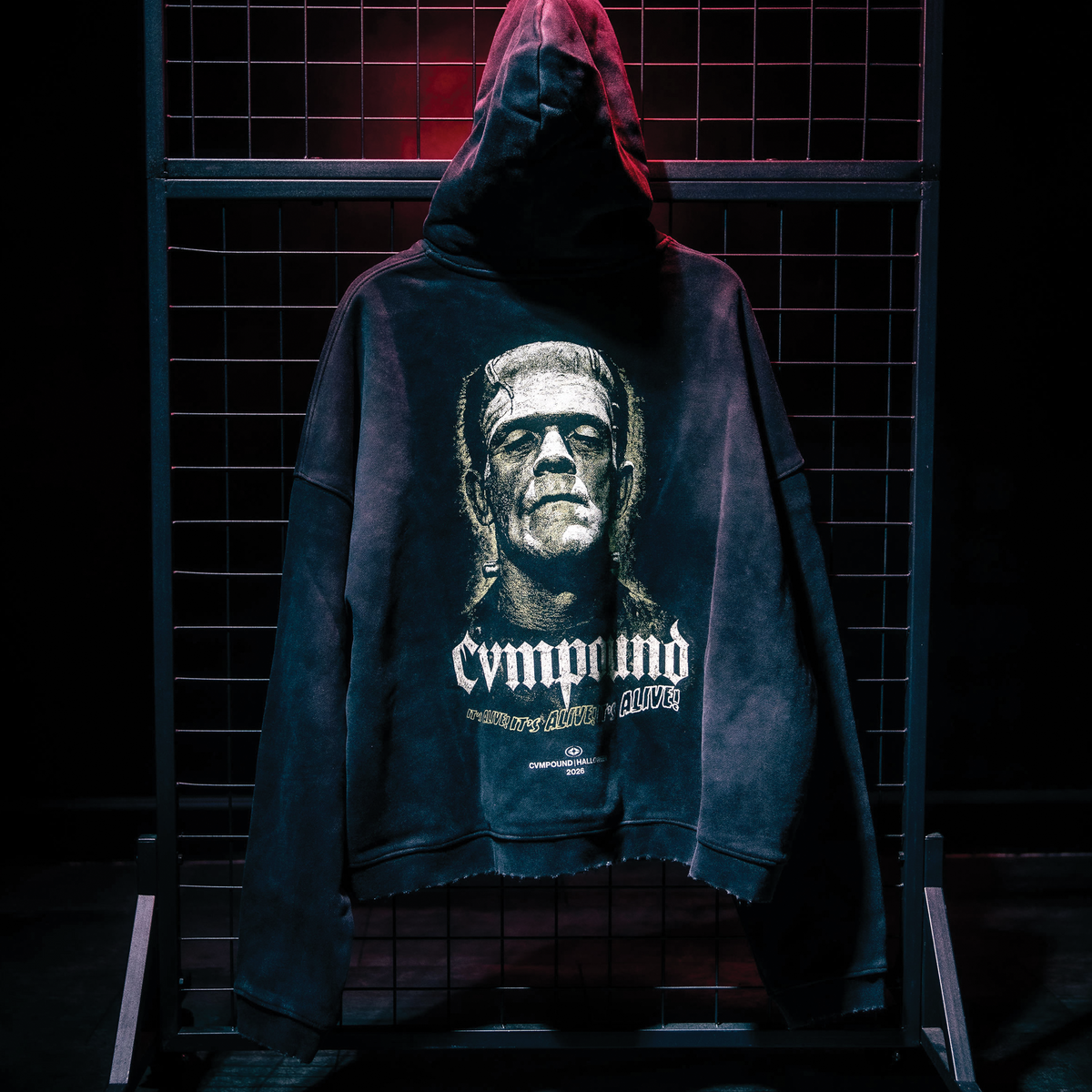 Halloween 2026: Frank Box Crop Hoodie
